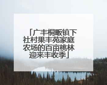 广丰桐畈镇下社村果丰苑家庭农场的百亩桃林迎来丰收季