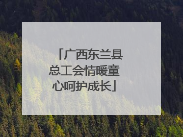 广西东兰县总工会情暖童心呵护成长