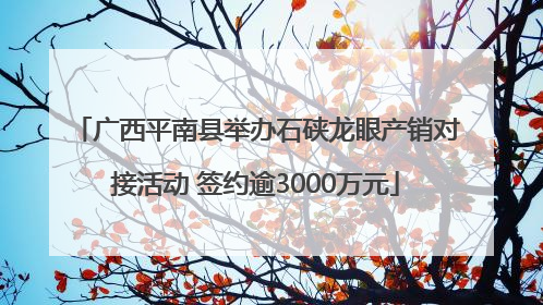广西平南县举办石硖龙眼产销对接活动 签约逾3000万元