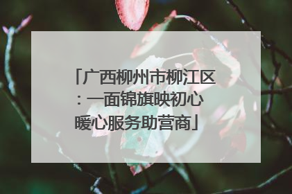 广西柳州市柳江区：一面锦旗映初心 暖心服务助营商