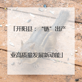 开阳县：“链”出产业高质量发展新动能