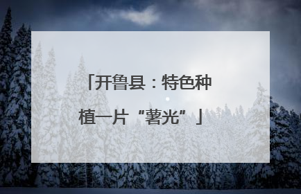 开鲁县：特色种植一片“薯光”
