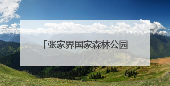 张家界国家森林公园天子山门票站开展“粽情端午·乐游张家界”主题宠客活动