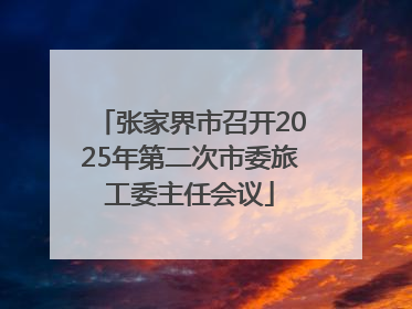 张家界市召开2025年第二次市委旅工委主任会议