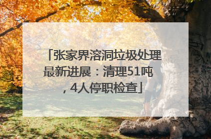 张家界溶洞垃圾处理最新进展：清理51吨，4人停职检查