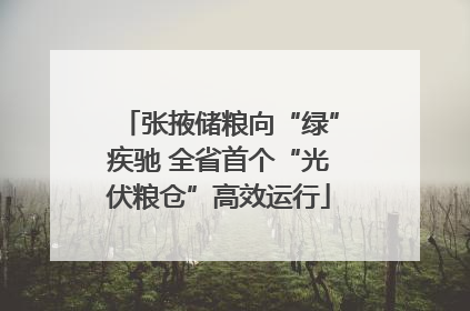 张掖储粮向“绿”疾驰 全省首个“光伏粮仓”高效运行