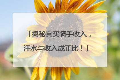 揭秘真实骑手收入，汗水与收入成正比！