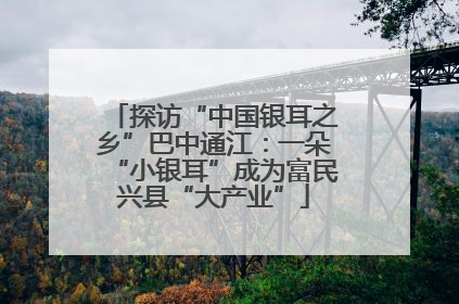 探访“中国银耳之乡”巴中通江：一朵“小银耳”成为富民兴县“大产业”