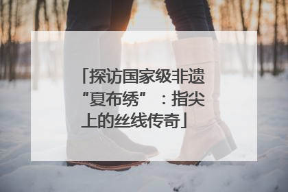 探访国家级非遗“夏布绣”：指尖上的丝线传奇