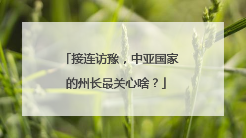 接连访豫，中亚国家的州长最关心啥？