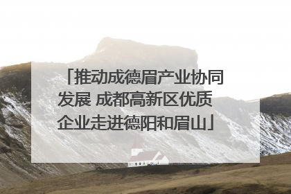 推动成德眉产业协同发展 成都高新区优质企业走进德阳和眉山