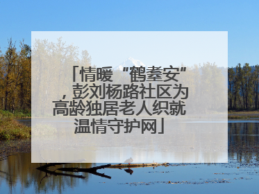 情暖“鹤耋安”，彭刘杨路社区为高龄独居老人织就温情守护网