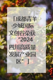 成都青羊·少城国际文创谷荣获“2024四川高质量发展产业园区”