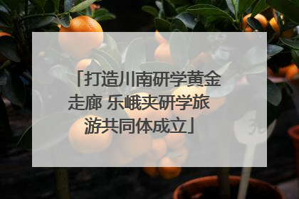 打造川南研学黄金走廊 乐峨夹研学旅游共同体成立