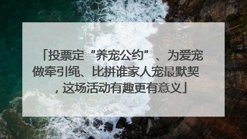 投票定“养宠公约”、为爱宠做牵引绳、比拼谁家人宠最默契，这场活动有趣更有意义