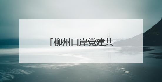 柳州口岸党建共同体“党建大讲堂”活动举行