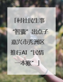 村社民生事 “智囊”出点子 嘉兴市秀洲区推行AI“民情一本账”