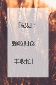 杞县：颗粒归仓丰收忙