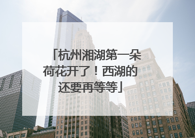 杭州湘湖第一朵荷花开了！西湖的还要再等等