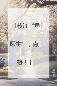 枝江“鱼医生”，点赞！