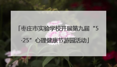 枣庄市实验学校开展第九届“5·25”心理健康节游园活动