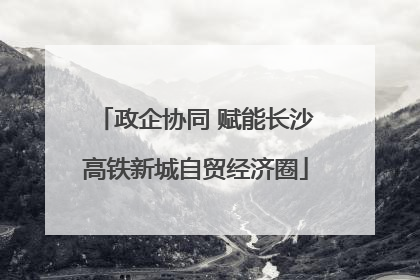 政企协同 赋能长沙高铁新城自贸经济圈