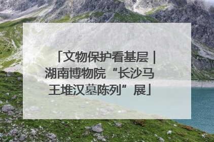 文物保护看基层｜湖南博物院“长沙马王堆汉墓陈列”展