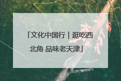 文化中国行｜逛吃西北角 品味老天津