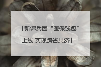 新疆兵团“医保钱包”上线 实现跨省共济