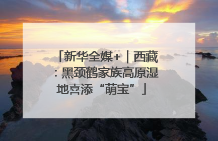 新华全媒+｜西藏：黑颈鹤家族高原湿地喜添“萌宝”