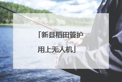 新县稻田管护用上无人机