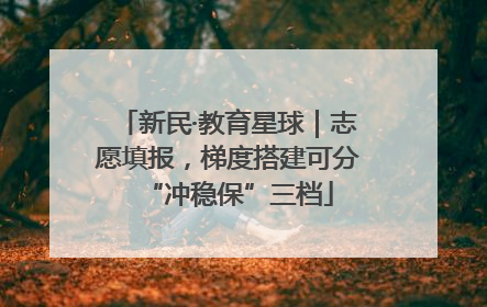 新民·教育星球｜志愿填报，梯度搭建可分“冲稳保”三档