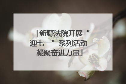 新野法院开展“迎七一”系列活动 凝聚奋进力量