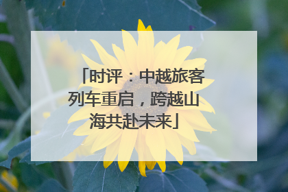 时评：中越旅客列车重启，跨越山海共赴未来