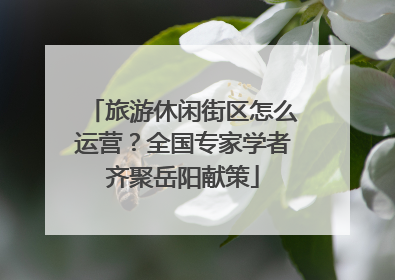 旅游休闲街区怎么运营？全国专家学者齐聚岳阳献策