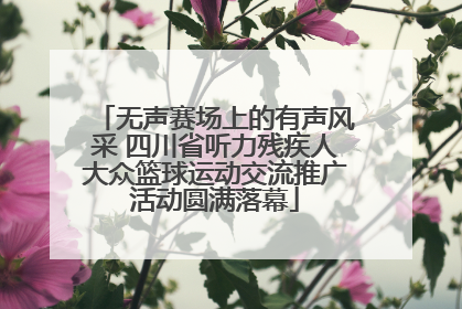 无声赛场上的有声风采 四川省听力残疾人大众篮球运动交流推广活动圆满落幕