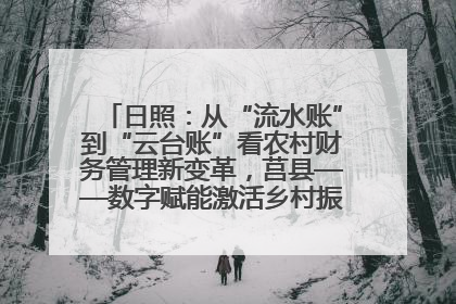 日照：从“流水账”到“云台账”看农村财务管理新变革，莒县——数字赋能激活乡村振兴“一池春水”