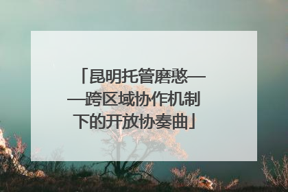 昆明托管磨憨——跨区域协作机制下的开放协奏曲