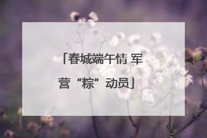 春城端午情 军营“粽”动员