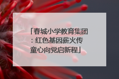 春城小学教育集团：红色基因薪火传 童心向党启新程