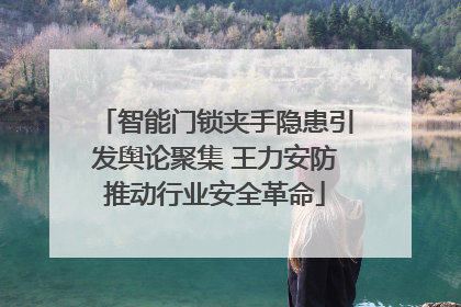 智能门锁夹手隐患引发舆论聚集 王力安防推动行业安全革命
