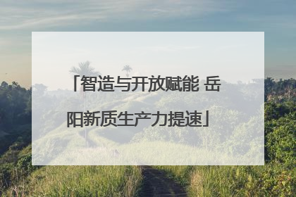智造与开放赋能 岳阳新质生产力提速