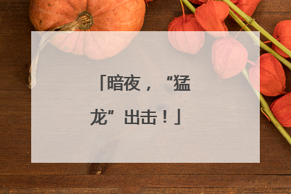 暗夜，“猛龙”出击！