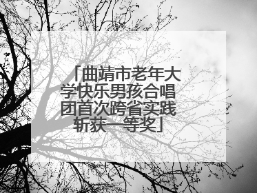 曲靖市老年大学快乐男孩合唱团首次跨省实践斩获一等奖