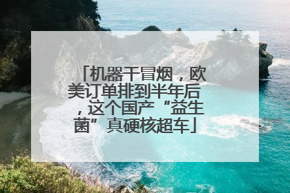 机器干冒烟，欧美订单排到半年后，这个国产“益生菌”真硬核超车