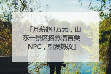 月薪超3万元，山东一景区招募语言类NPC，引发热议