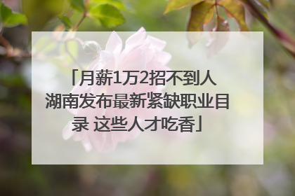 月薪1万2招不到人 湖南发布最新紧缺职业目录 这些人才吃香