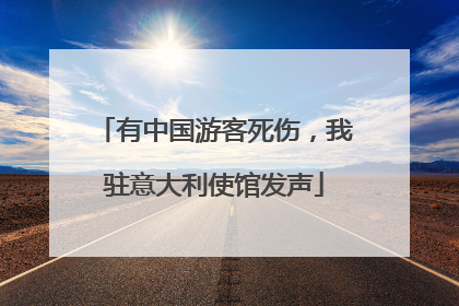 有中国游客死伤，我驻意大利使馆发声