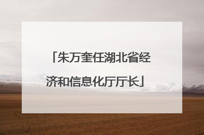 朱万奎任湖北省经济和信息化厅厅长