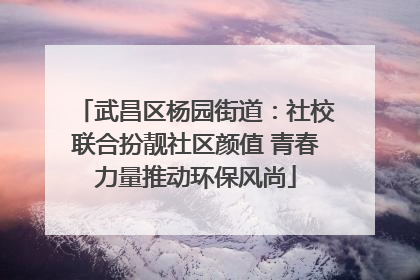 武昌区杨园街道：社校联合扮靓社区颜值 青春力量推动环保风尚